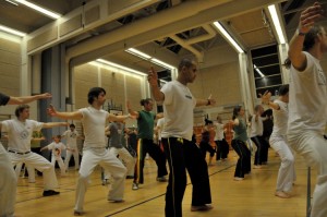 capoeira-meeting-copenhagen-2010-0220