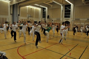 capoeira-meeting-copenhagen-2010-0223