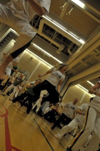 capoeira-meeting-copenhagen-2010-0231