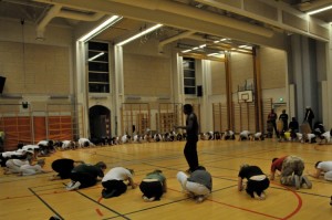 capoeira-meeting-copenhagen-2010-0331