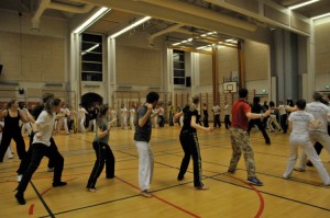 capoeira-meeting-copenhagen-2010-0336