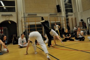 capoeira-meeting-copenhagen-2010-0370