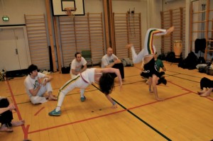 capoeira-meeting-copenhagen-2010-0386