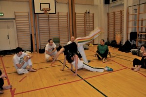 capoeira-meeting-copenhagen-2010-0387