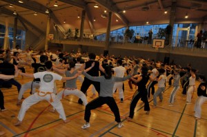 capoeira-meeting-copenhagen-2010-0547