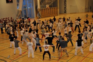 capoeira-meeting-copenhagen-2010-0549