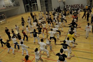 Capoeira Meeting Copenhagen 2010