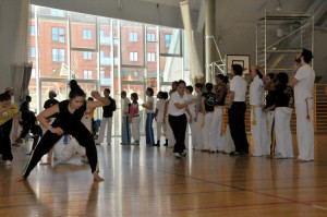 capoeira-meeting-copenhagen-2010-0853