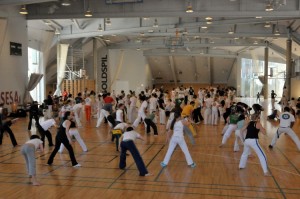 capoeira-meeting-copenhagen-2010-0878