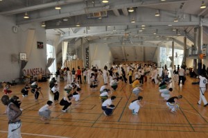 capoeira-meeting-copenhagen-2010-0879