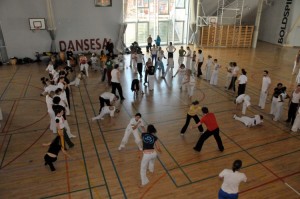 capoeira-meeting-copenhagen-2010-0883