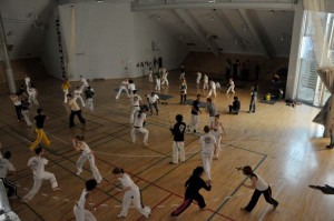 capoeira-meeting-copenhagen-2010-0890