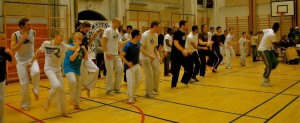 capoeira-meeting-copenhagen-2011-4672