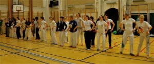 capoeira-meeting-copenhagen-2011-4673