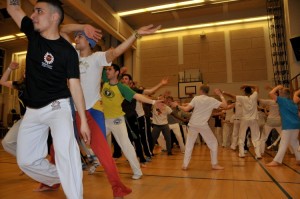 capoeira-meeting-copenhagen-2011-4716