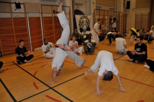 capoeira-meeting-copenhagen-2011-4773