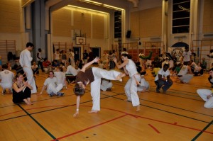 capoeira-meeting-copenhagen-2011-4834