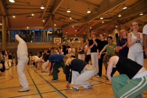 capoeira-meeting-copenhagen-2011-5120