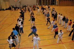 capoeira-meeting-copenhagen-2011-5140