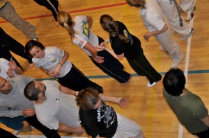 capoeira-meeting-copenhagen-2011-5145