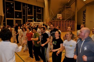 capoeira-meeting-copenhagen-2011-5182