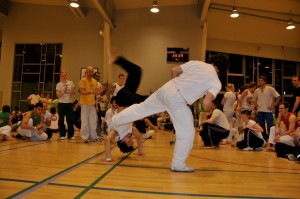 capoeira-meeting-copenhagen-2011-5283
