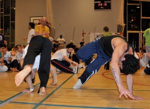 capoeira-meeting-copenhagen-2011-5292
