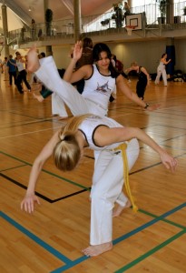 capoeira-meeting-copenhagen-2011-5800