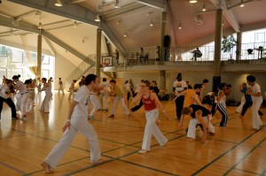 capoeira-meeting-copenhagen-2011-5805