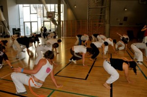 capoeira-meeting-copenhagen-2011-5815