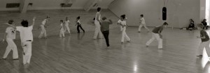capoeira-meeting-copenhagen-2011-5826