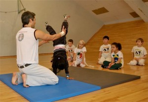 capoeira-meeting-copenhagen-2011-5845