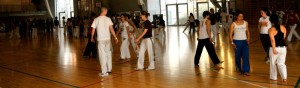 capoeira-meeting-copenhagen-2011-5855