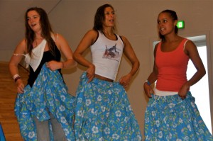 capoeira-meeting-copenhagen-2011-6017