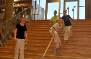 capoeira-meeting-copenhagen-2011-6151