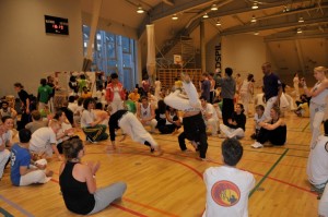 capoeira-meeting-copenhagen-2011-6153