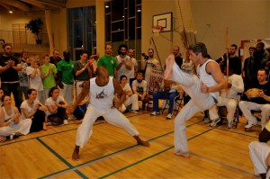 capoeira-meeting-copenhagen-2011-6199