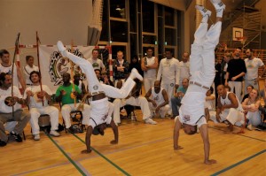 capoeira-meeting-copenhagen-2011-6378
