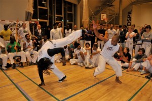 capoeira-meeting-copenhagen-2011-6387