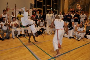 capoeira-meeting-copenhagen-2011-6392