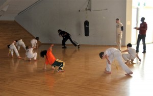 capoeira-meeting-copenhagen-2011-6495