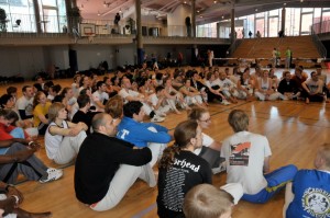 capoeira-meeting-copenhagen-2011-6550