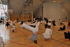 capoeira-meeting-copenhagen-2011-6577