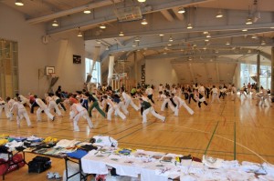 capoeira-meeting-copenhagen-2011-6581