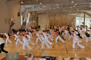 capoeira-meeting-copenhagen-2011-6582