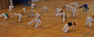 capoeira-meeting-copenhagen-2011-6729