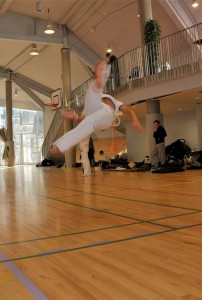 capoeira-meeting-copenhagen-2011-6739