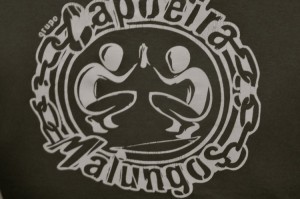 capoeira-meeting-copenhagen-2011-6964
